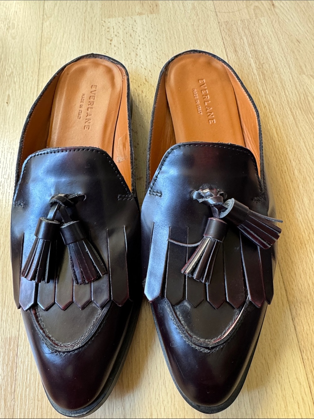 Everlane Tasseled Loafer Mules